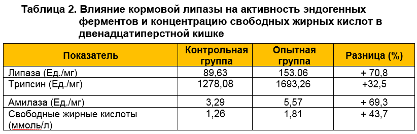 Влияние кормовой липазы на активность эндогенных ферментов