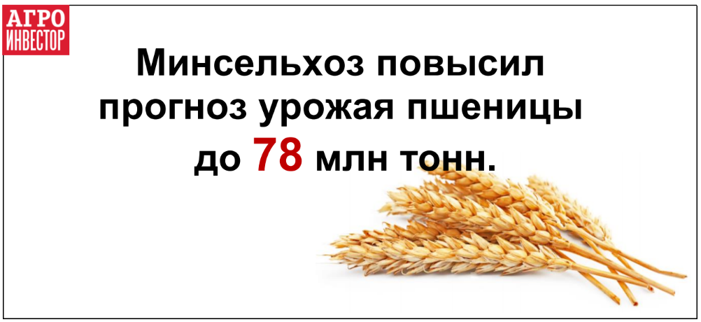 Прогноз урожая пшеницы повышен до 78 млн тонн