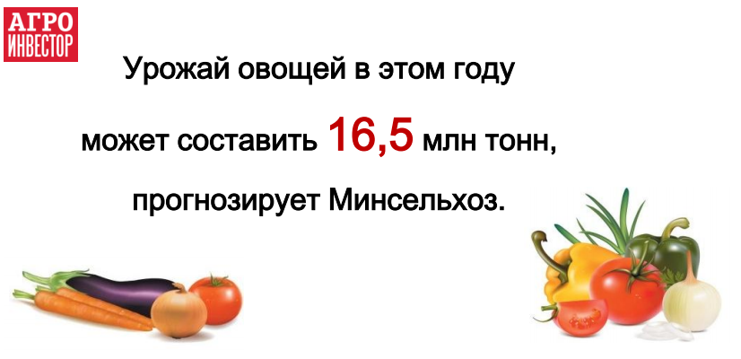 Урожай овощей в этом году может составить 16,5 млн тонн