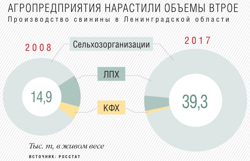 Производство свинины в Ленинградской области