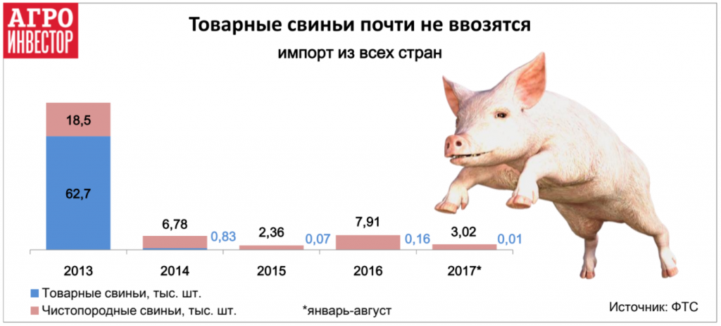 Товарные свиньи почти не ввозятся