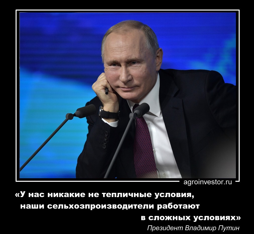 Владимир Путин «У нас никакие не тепличные условия»