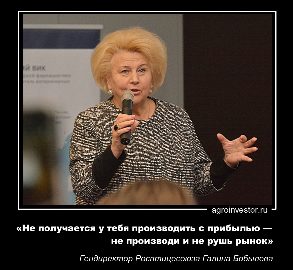 Галина Бобылева: «Не получается у тебя производить с прибылью — не производи и не рушь рынок»