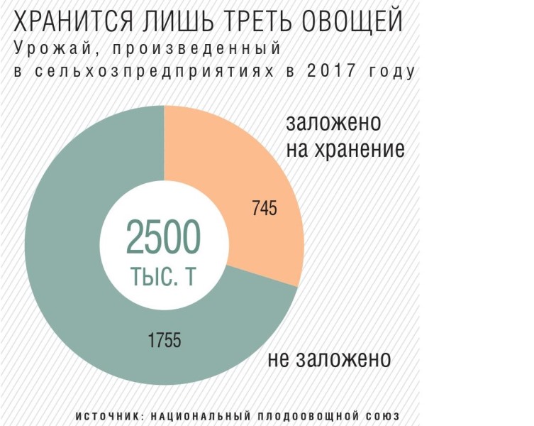 Реферат: Учет затрат на выращивание, уборку и хранение картофеля