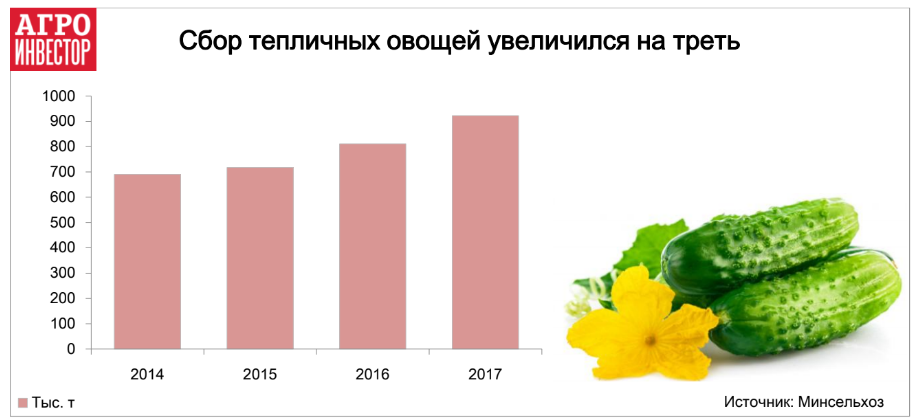 Сбор тепличных овощей увеличился на треть