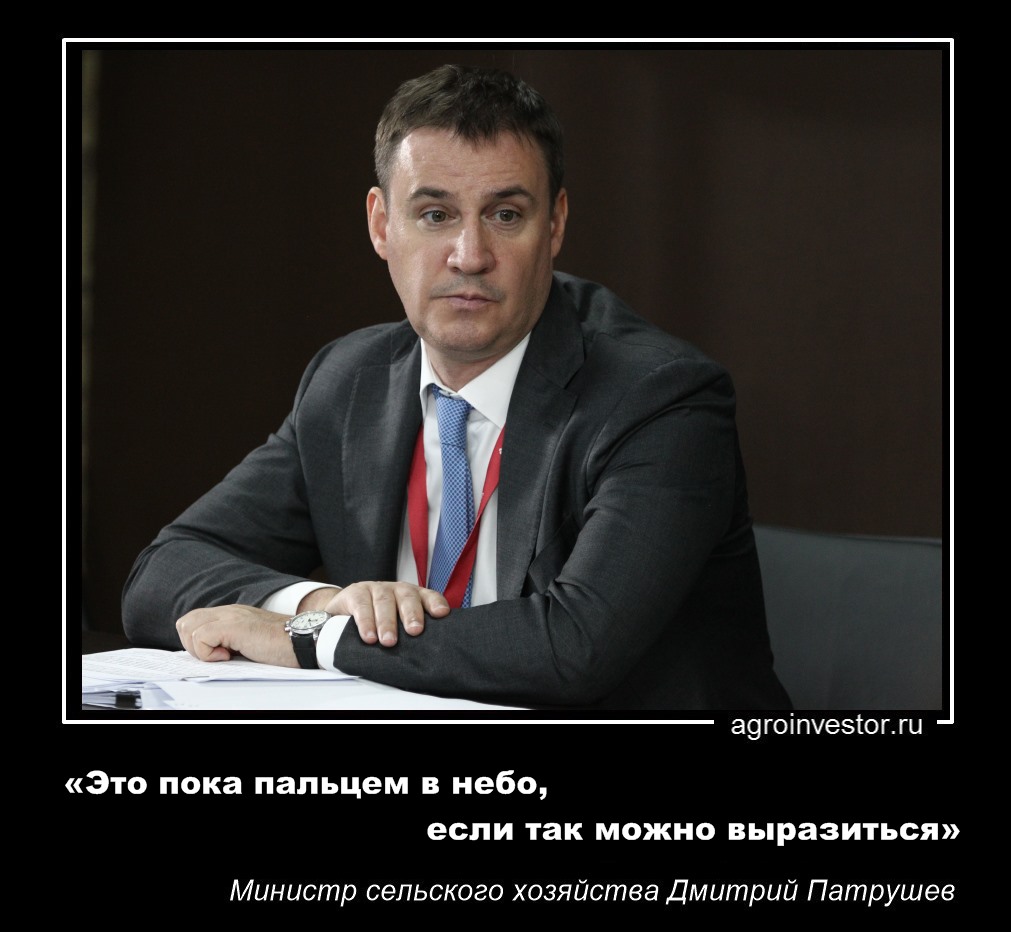 Дмитрий Патрушев «Это пока пальцем в небо, если так можно выразиться»