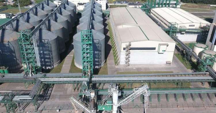 «Содружество» вложит 35 млрд рублей в зерновой терминал в Ленинградской области