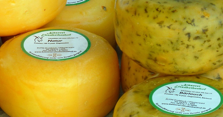 Импорт сыров вырос почти на 10%
