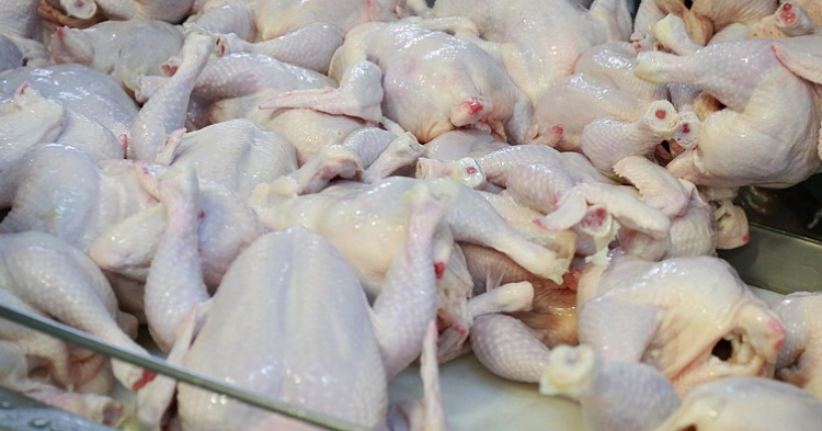 Цены на курицу снижаются из-за падения спроса у переработчиков