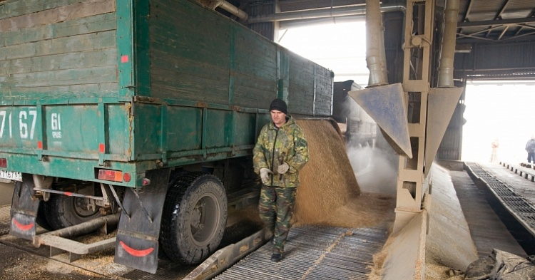 Минсельхоз хочет квотировать экспорт отдельных агрокультур