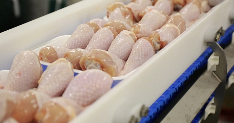 «Черкизово» увеличила экспорт мясной продукции на 38%