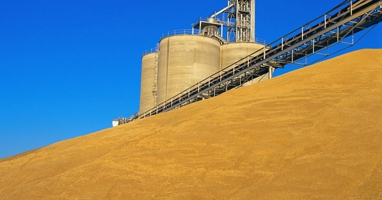 ОЗК намерена вывезти до 2,4 млн тонн зерна в 2019/20 сельхозгоду