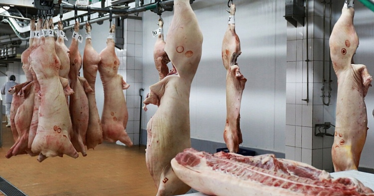 «Агро-Белогорье» увеличило отгрузку мяса в полутушах на 45%