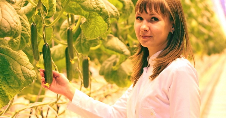 Мария Буткина: «Потребитель становится разборчивым при выборе тепличных овощей»