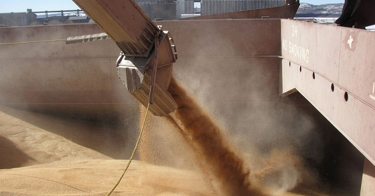 В сезоне-2019/20 Турция может стать крупнейшим покупателем российского зерна