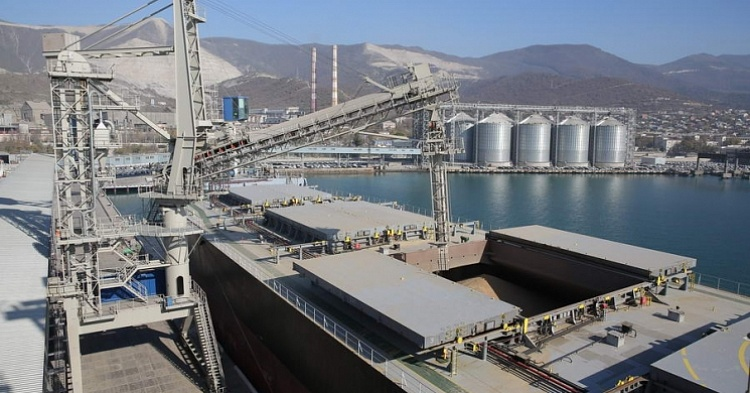 К 2022 году объем перевалки зерна в российских портах может вырасти до 80,5 млн тонн