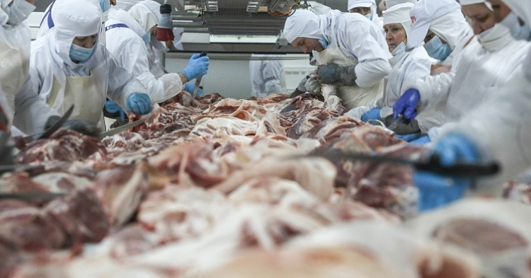 20 крупнейших компаний произвели 3 млн тонн свинины