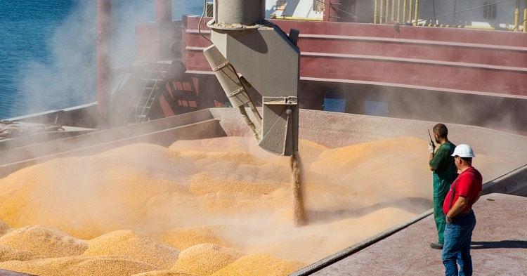 Россия может сохранить лидерство в экспорте пшеницы