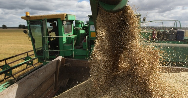 Экспорт зерна будет продолжаться в июне