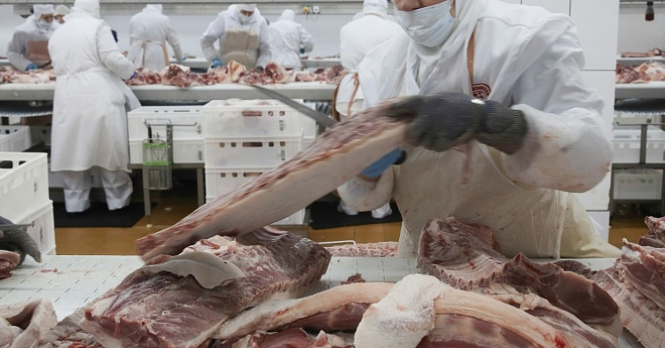 Топ-25 компаний выпустили 5,4 млн тонн мяса