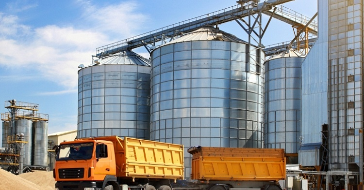 Экспорт зерна в апреле может превысить половину от объема квоты